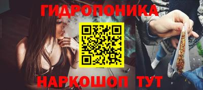 эйфоретик Камышлов