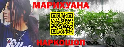 крисы Канаш