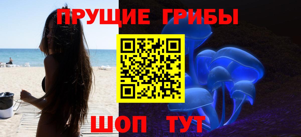 Глазов  Псилоцибиновые грибы ЛСД  Вход с VPN  Псилоцибиновые грибы MAGIC MUSHROOMS 